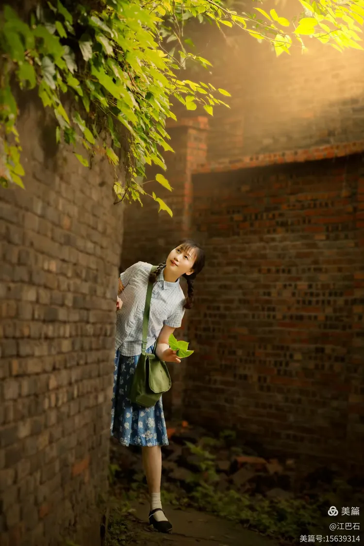 青葱岁月:花季日子的往事